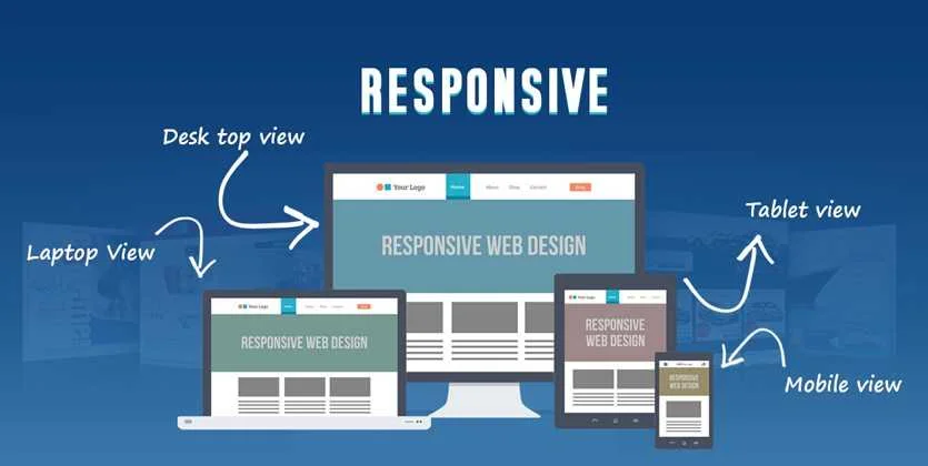 Website Design Services in Detroit MI